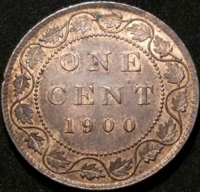 1900-And-1915-Large-Cents-Grade-And-Help-With-Condition-Issu